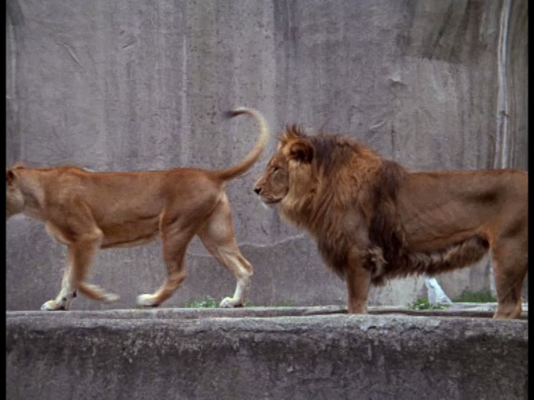 卡波夫妇的剧院 剧照4 卡波夫妇的剧院 剧照4