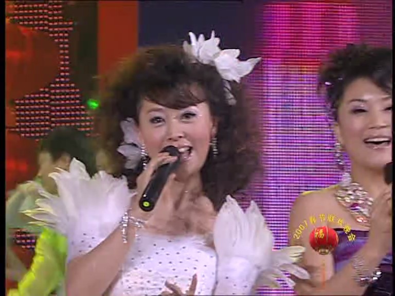 2007年中央电视台春节联欢晚会 剧照8