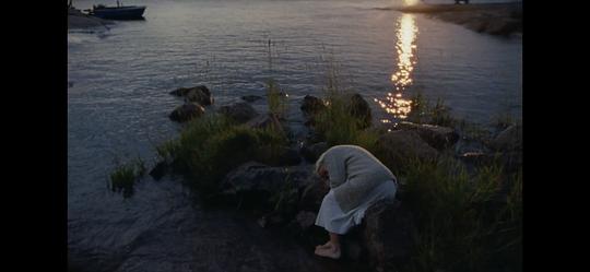 夏日之书 剧照8 夏日之书 剧照8