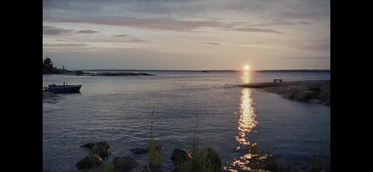 夏日之书 剧照9 夏日之书 剧照9