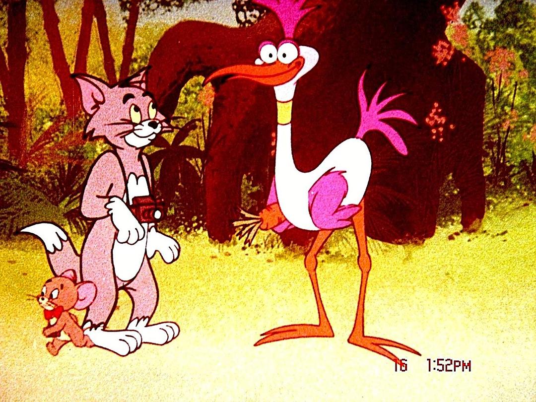 新版猫和老鼠 剧照5 新版猫和老鼠 剧照5