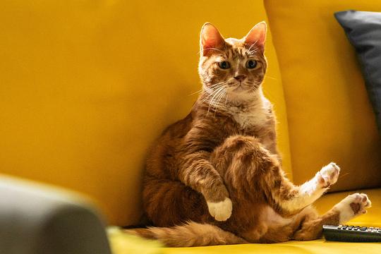 我的僵尸女儿 剧照1 我的僵尸女儿 剧照1