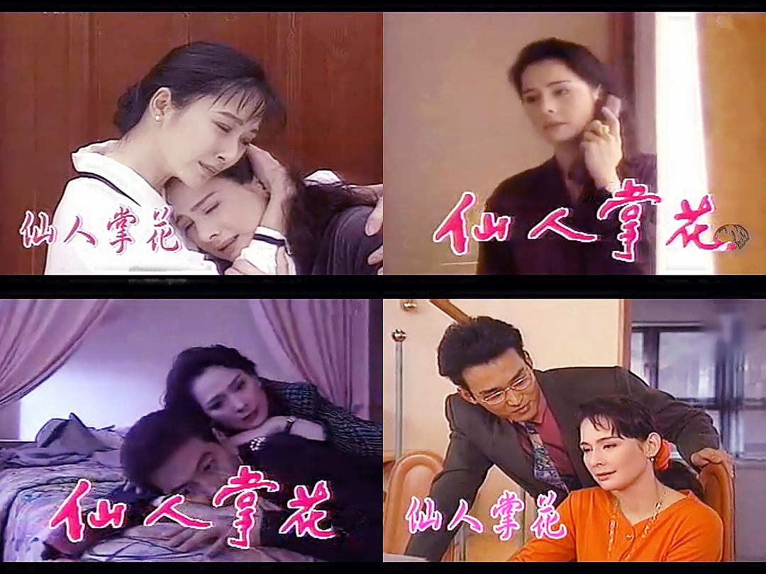 仙人掌花 剧照1 仙人掌花 剧照1