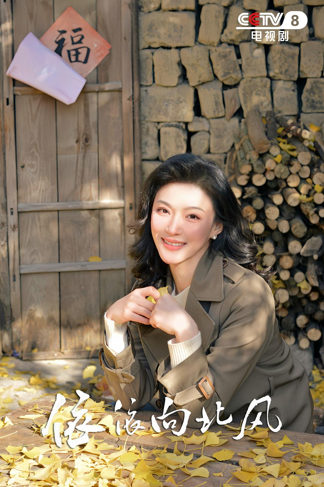 依依向北风 剧照1 依依向北风 剧照1