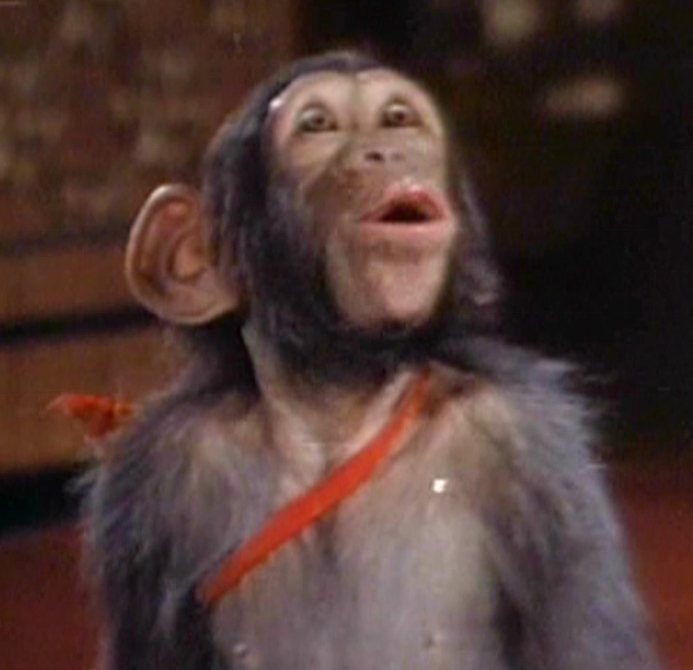 猴驸马 剧照5 猴驸马 剧照5