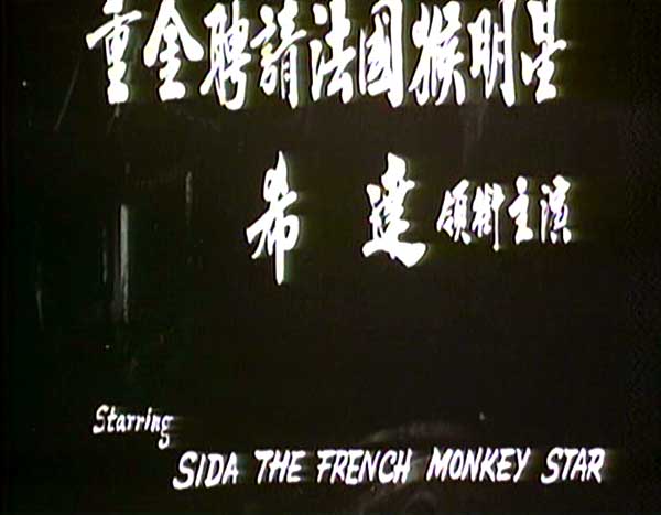 猴驸马 剧照6 猴驸马 剧照6