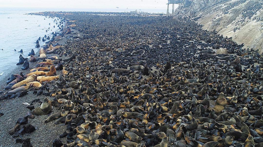 鸟瞰俄罗斯 剧照2 鸟瞰俄罗斯 剧照2