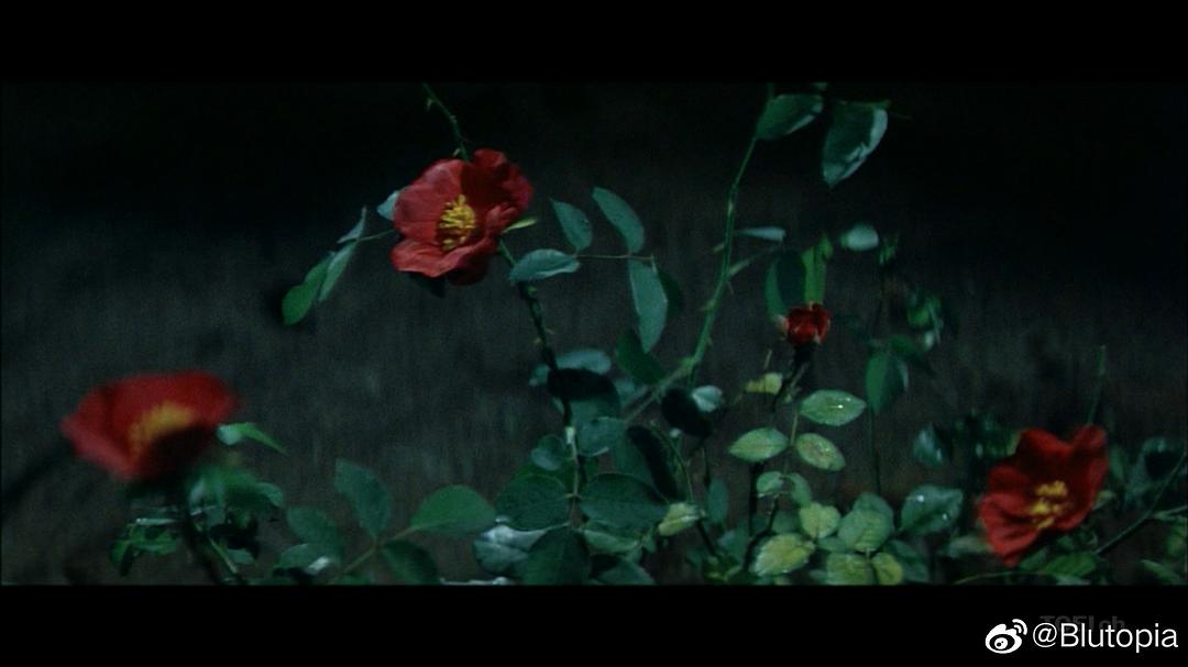 新网走番外地:血斗流人岬 剧照7 新网走番外地:血斗流人岬 剧照7