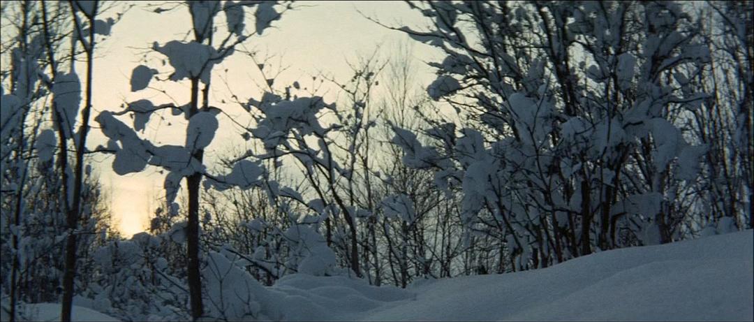 网走番外地:北海篇 剧照4 网走番外地:北海篇 剧照4