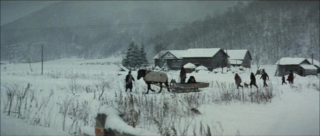 网走番外地:北海篇 剧照6 网走番外地:北海篇 剧照6