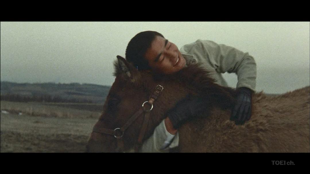 网走番外地:荒野的对决 剧照8 网走番外地:荒野的对决 剧照8