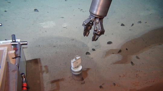 来自深海 剧照3 来自深海 剧照3