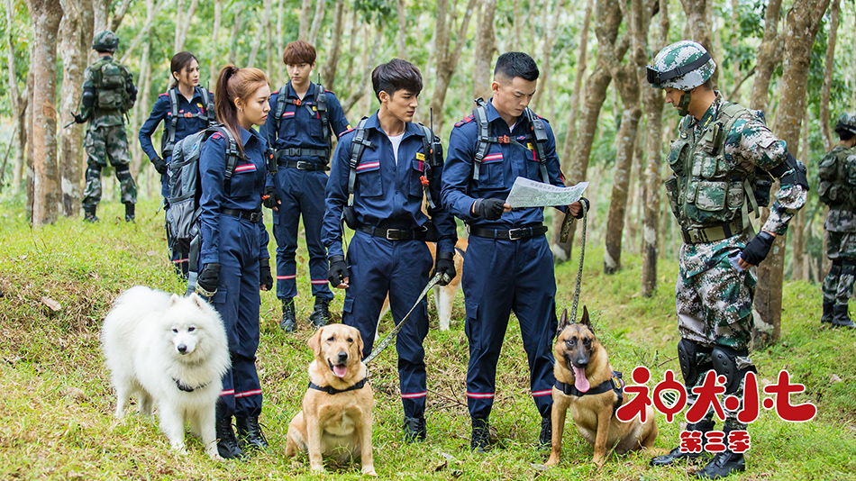 神犬小七 第三季 剧照4