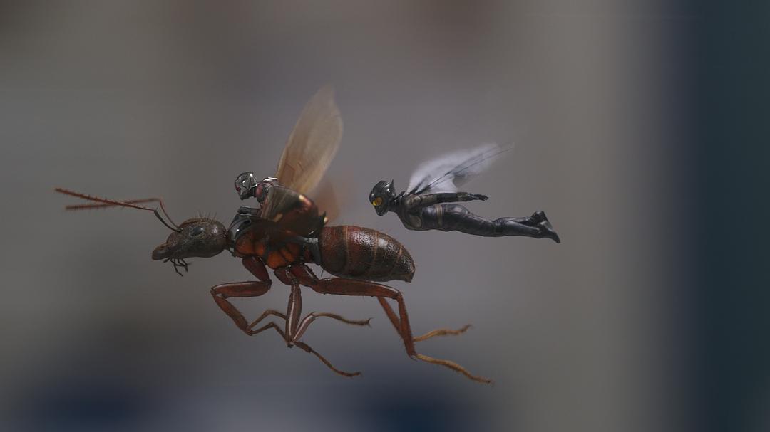 蚁人2:黄蜂女现身 剧照7