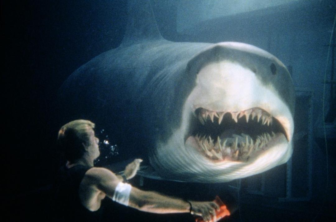 深海狂鲨 剧照1