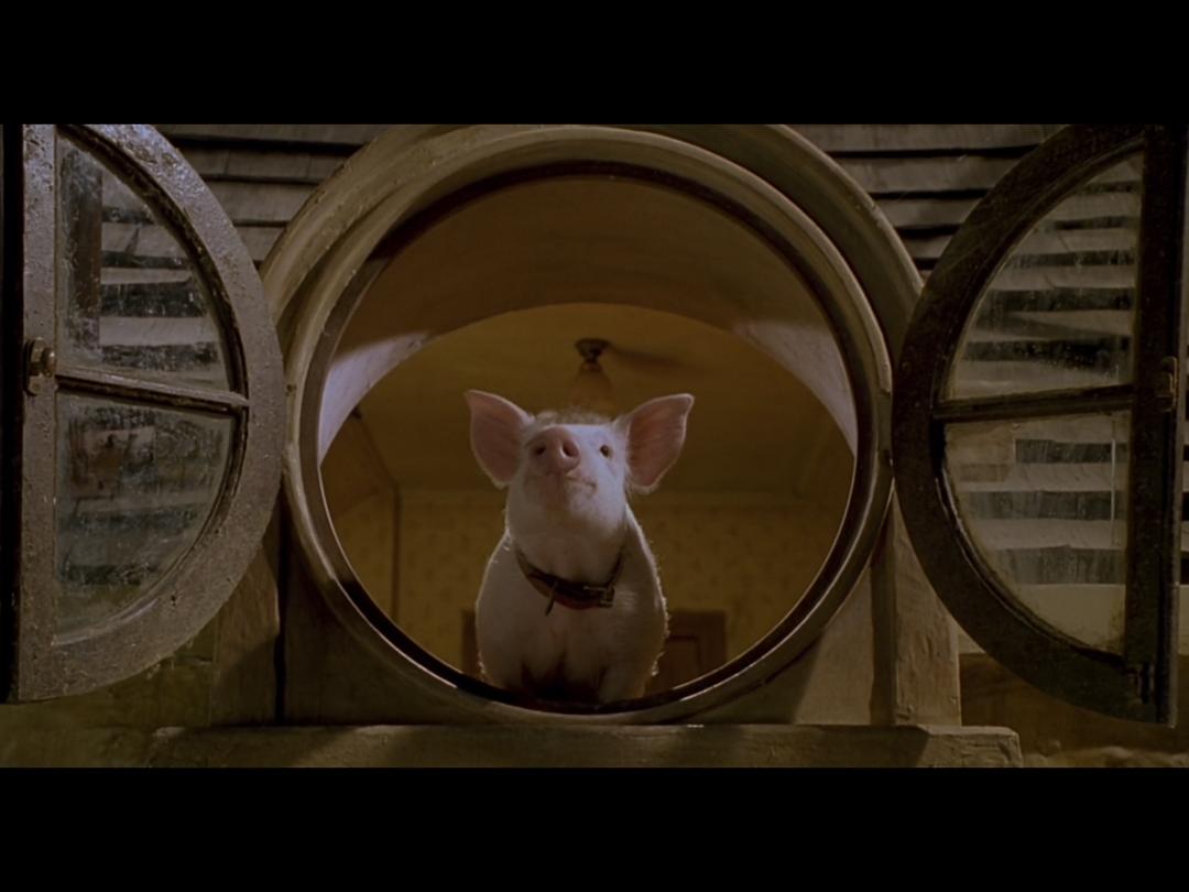 小猪宝贝2:小猪进城 剧照8