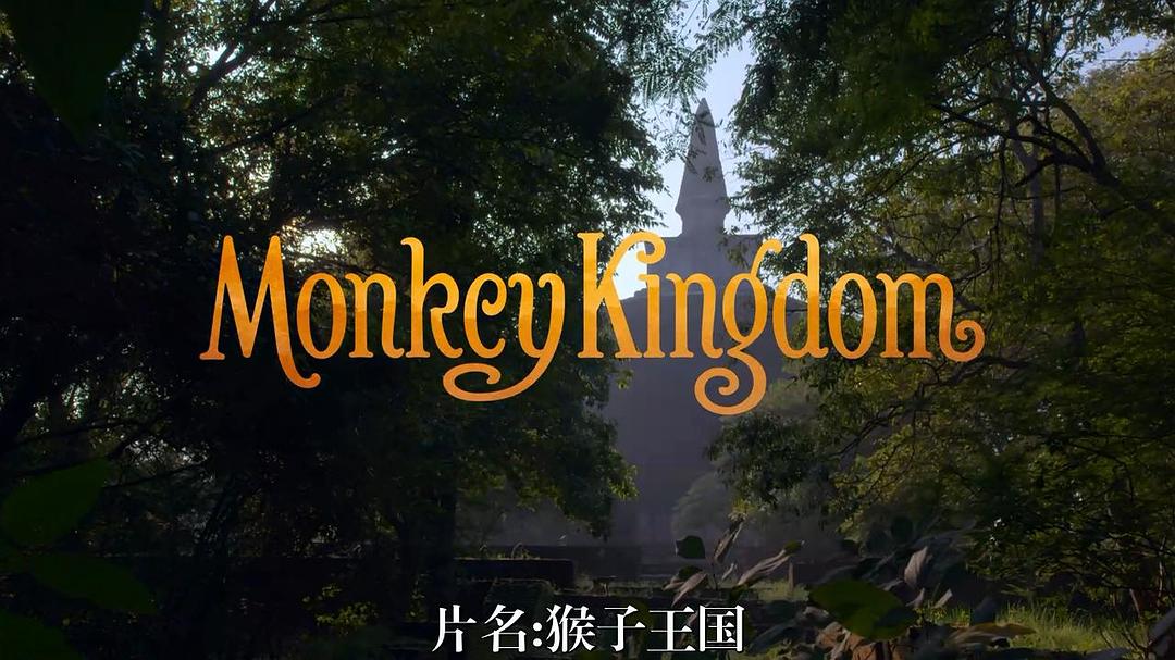 猴子王国 剧照10