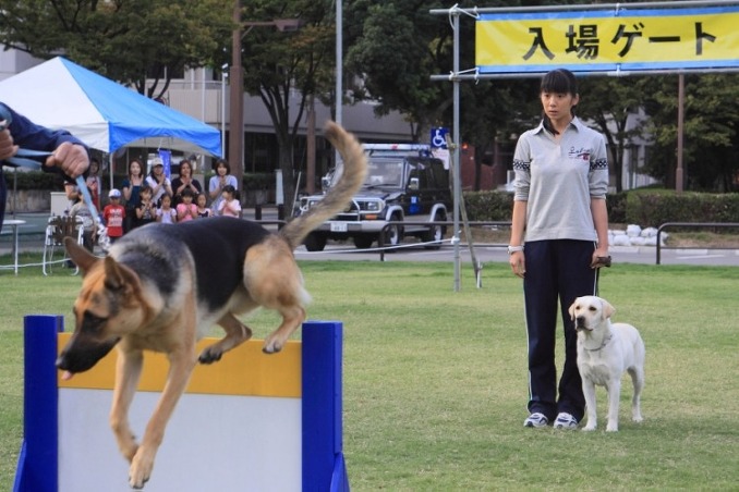 实习警犬物语 剧照5