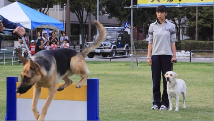 实习警犬物语 剧照8