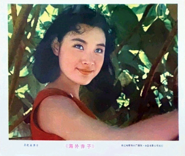 海外赤子 剧照7