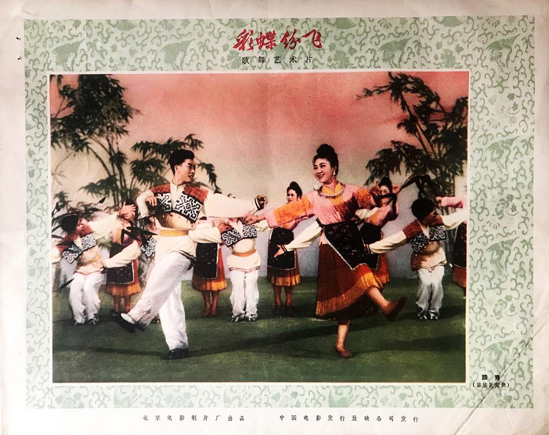 彩蝶纷飞 剧照4