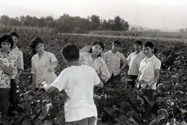 车水马龙 剧照10