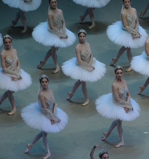 舞:巴黎歌剧院的芭蕾 剧照5