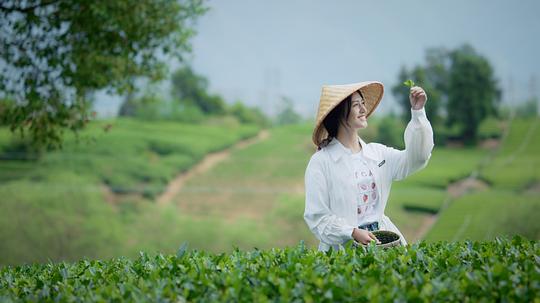 何加加的桃花源记 剧照8