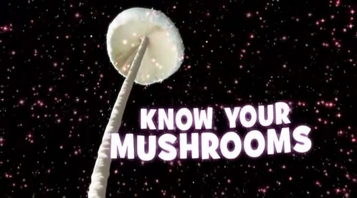 了解你的蘑菇 剧照3
