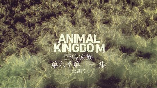 野兽家族 第六季 剧照5