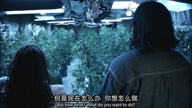 无耻家庭 第二季 剧照5