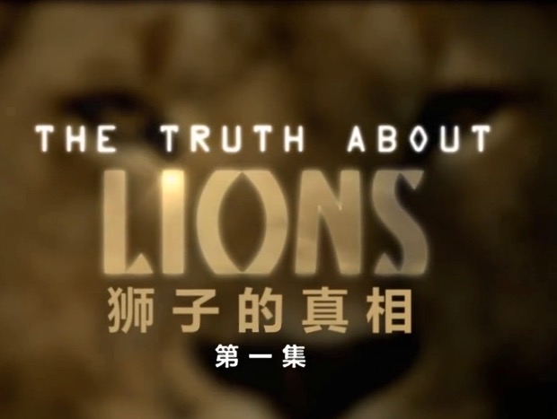 地平线系列:狮子的真相 剧照1