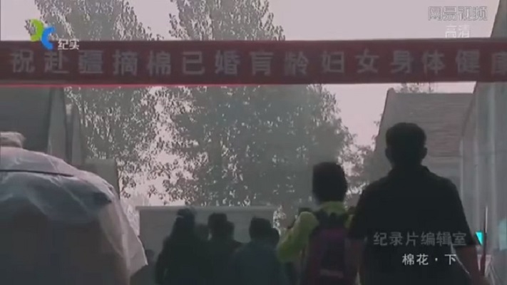 棉花 剧照8