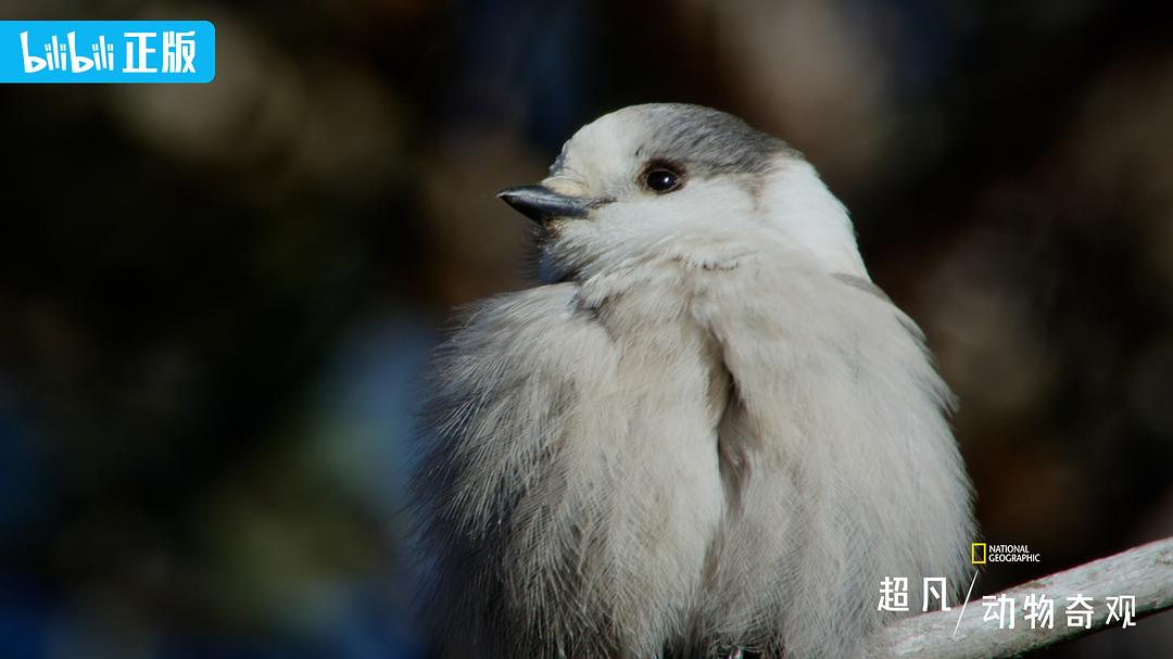 超/自然 剧照9