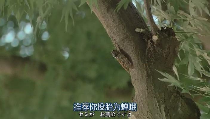 世界奇妙物语 2012年秋之特别篇 剧照2