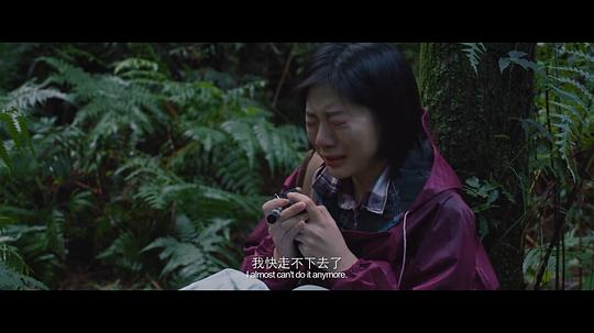叫我郑先生 剧照8