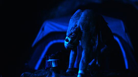 马里布录像带 剧照5