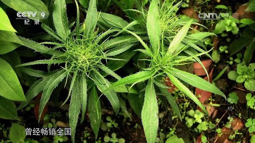 武功山 剧照4