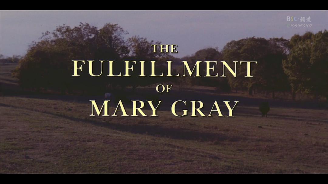 The Fulfillment of Mary Gray 剧照1