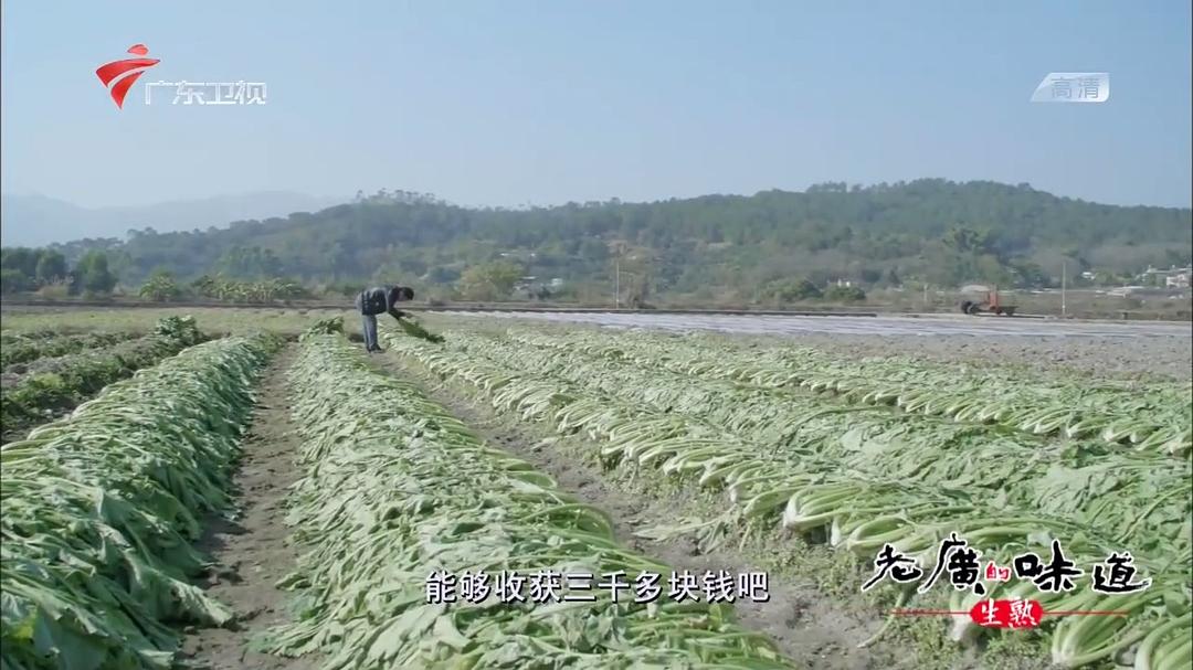 老广的味道 第三季 剧照7