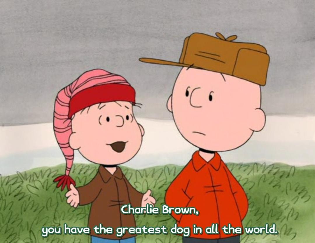 I Want a Dog for Christmas, Charlie Brown 剧照1