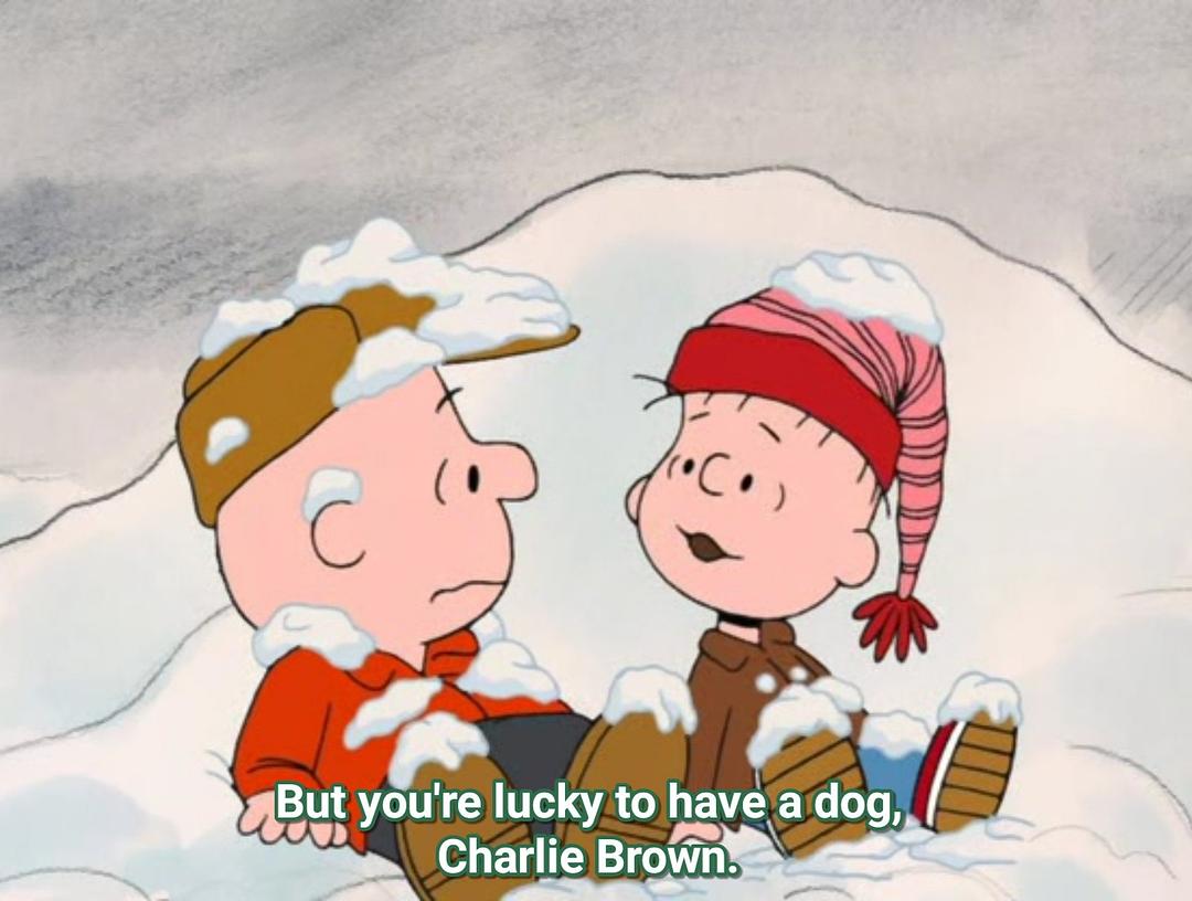 I Want a Dog for Christmas, Charlie Brown 剧照4