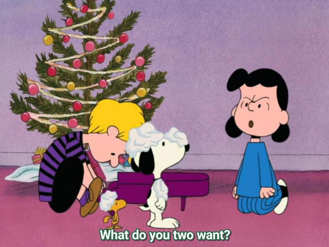 I Want a Dog for Christmas, Charlie Brown 剧照5