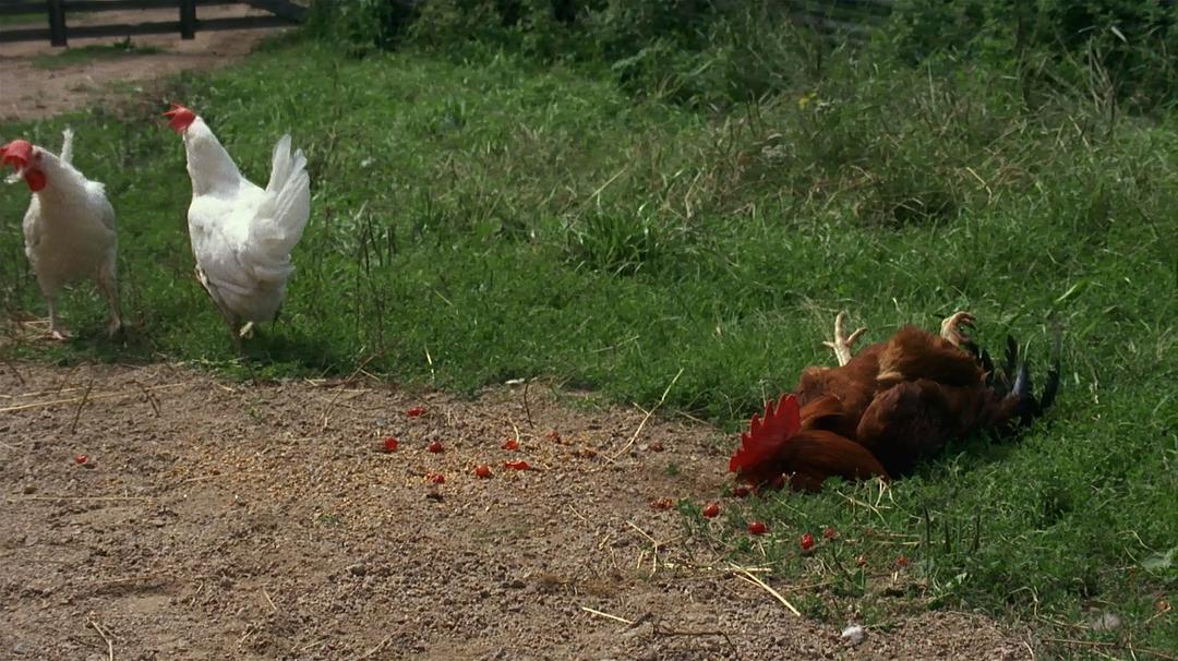 埃米尔·奥赫·格里塞克诺恩 剧照1