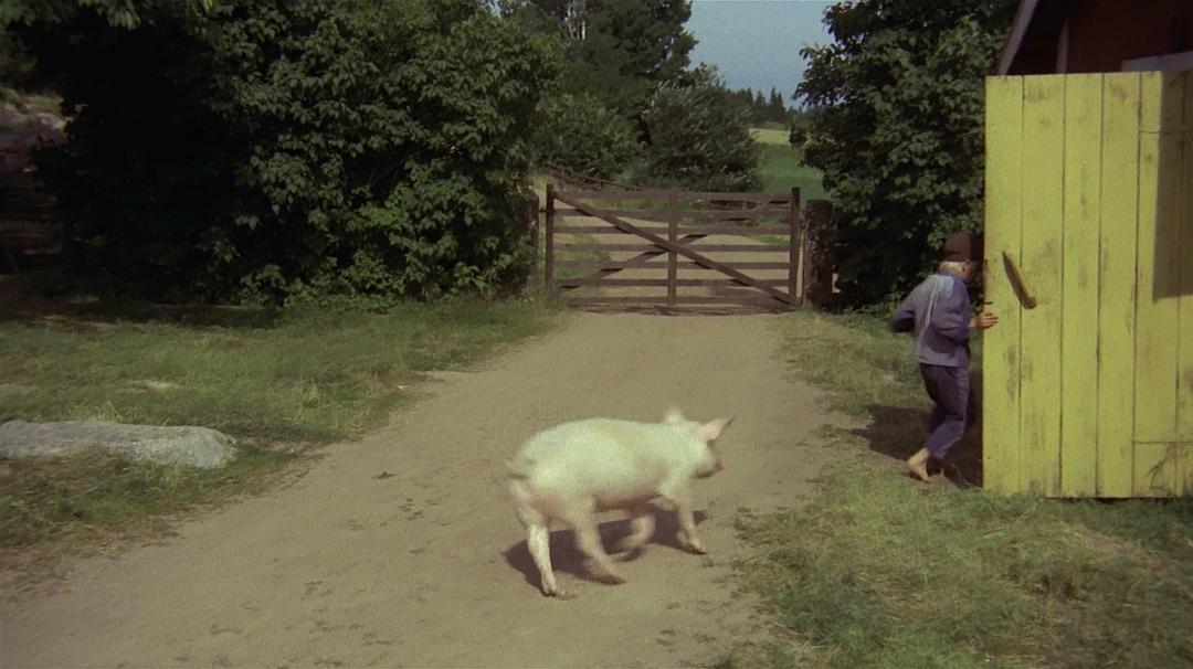 埃米尔·奥赫·格里塞克诺恩 剧照4