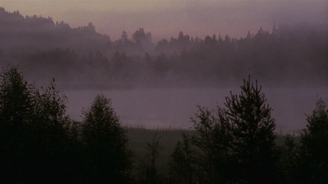 埃米尔·奥赫·格里塞克诺恩 剧照6