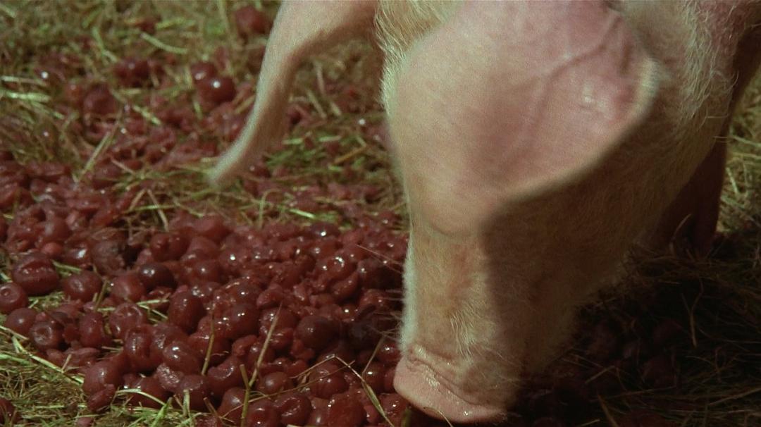 埃米尔·奥赫·格里塞克诺恩 剧照10