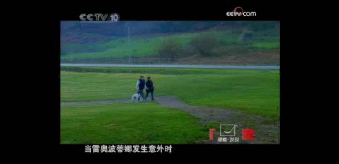 走近地中海 剧照7