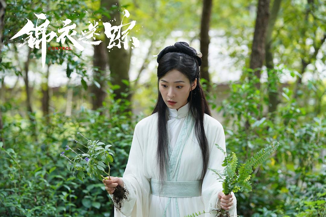 锦衣迷踪 剧照1