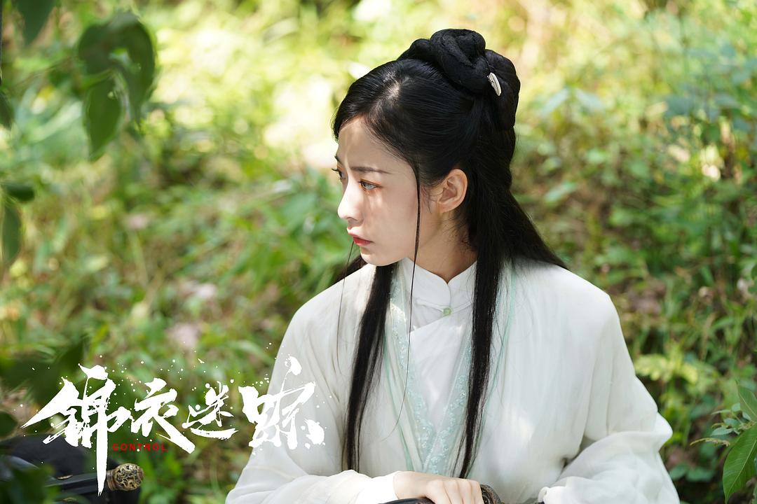 锦衣迷踪 剧照9